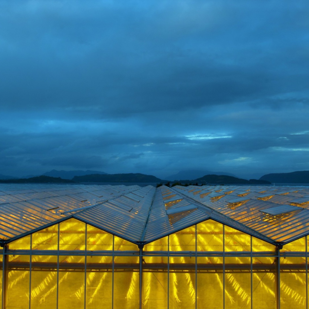 Желтый свет в стеклянных теплицах