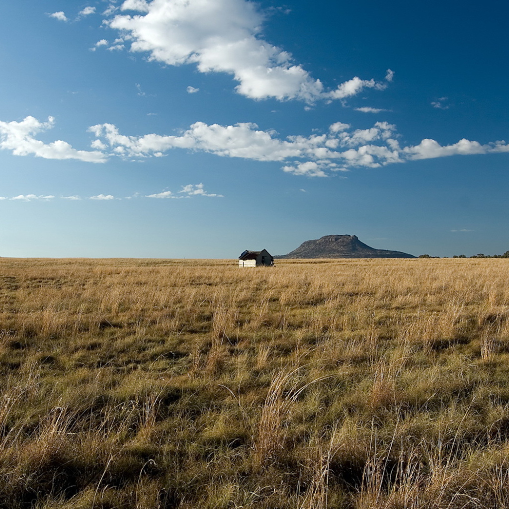 Одинокий дом посередине поля