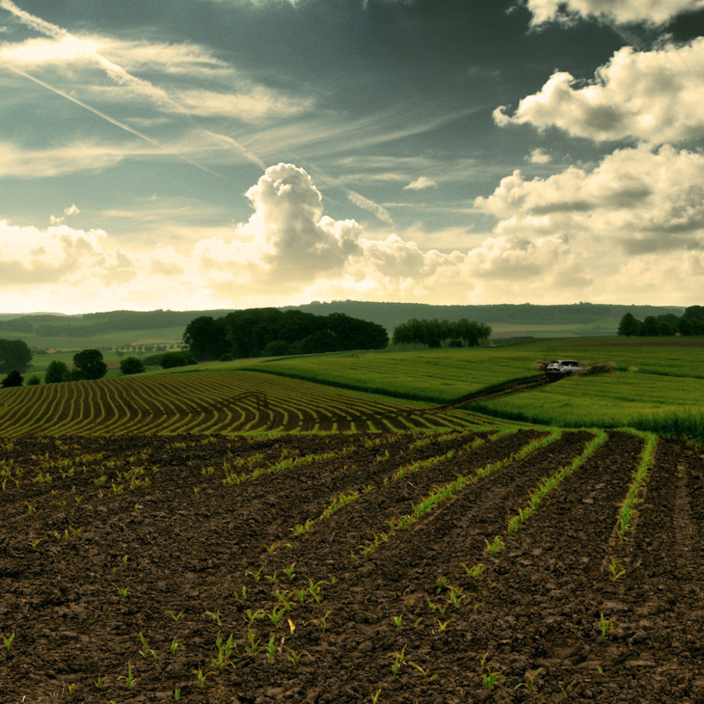 Перепаханное поле
