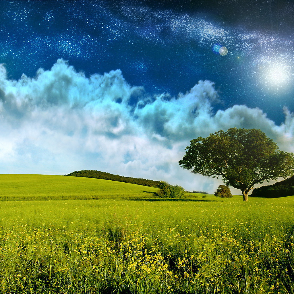 Поле и звездное небо