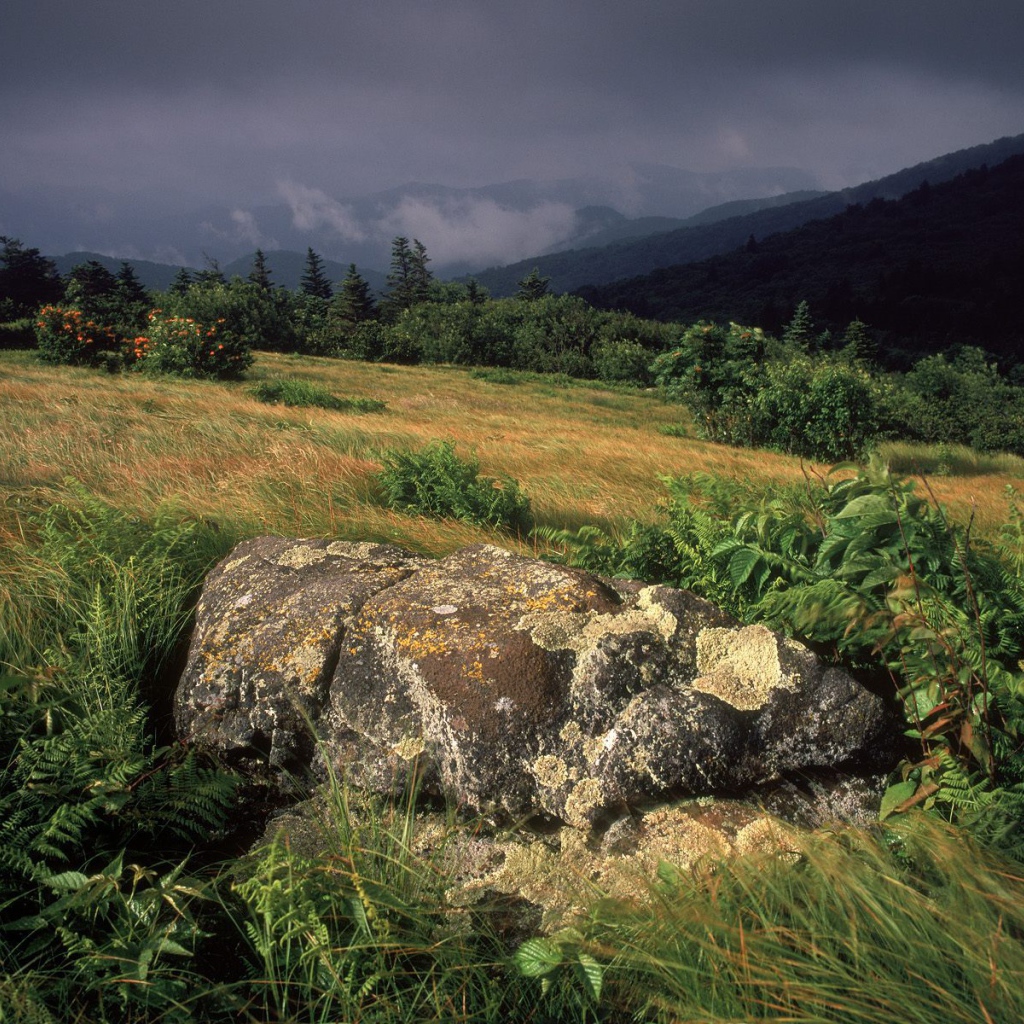 Камень посреди поля
