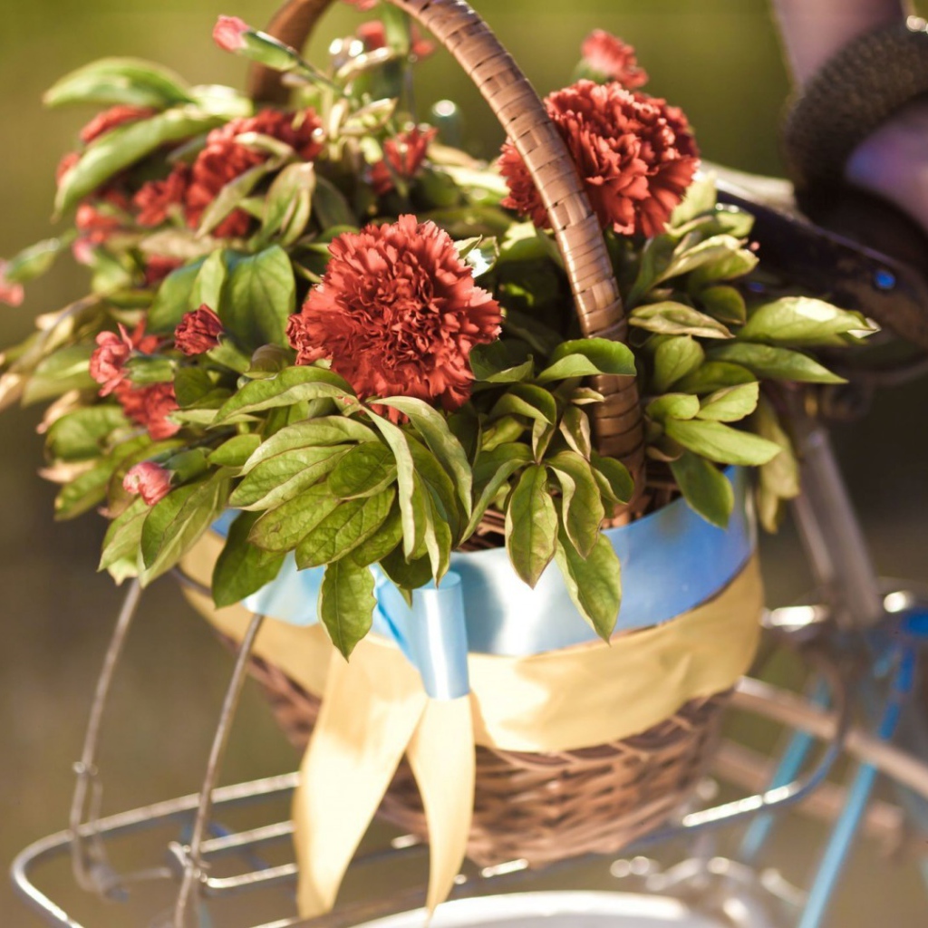 Корзина цветов на багажнике велосипеда