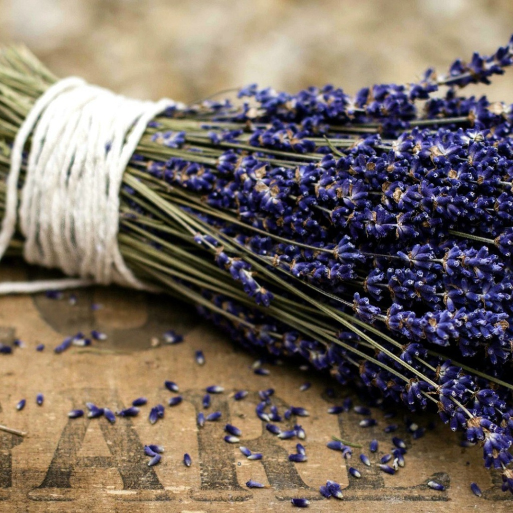 Букет цветов лаванды