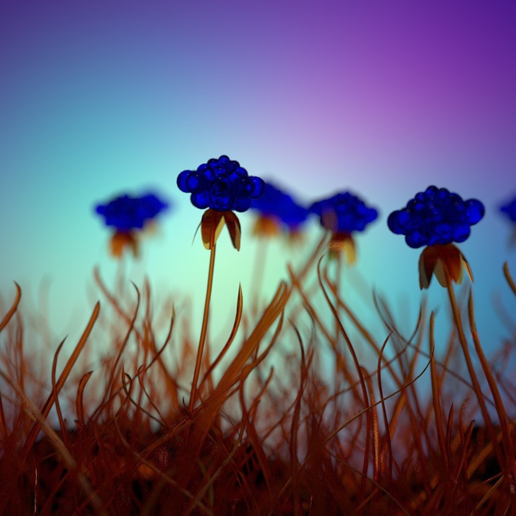 Засохшие голубые цветы