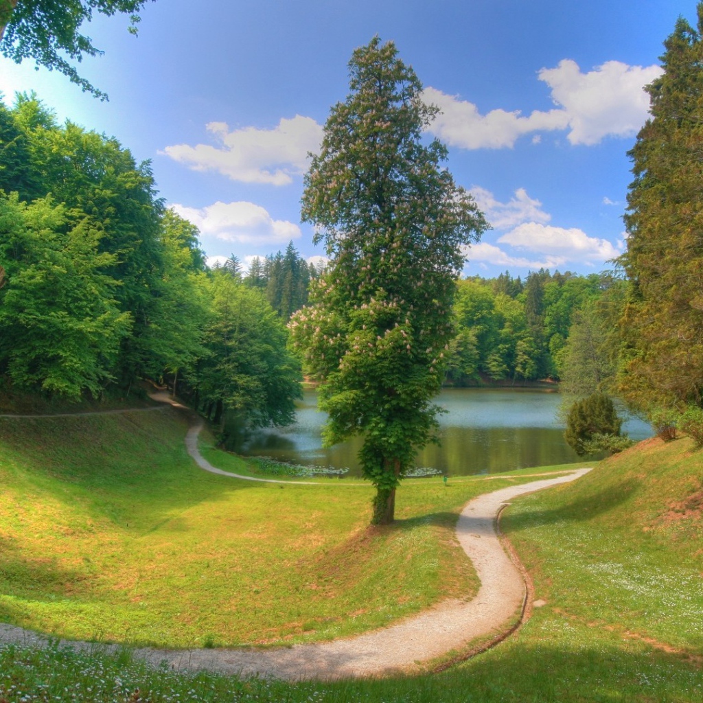 Тихое озерцо в лесной чаще