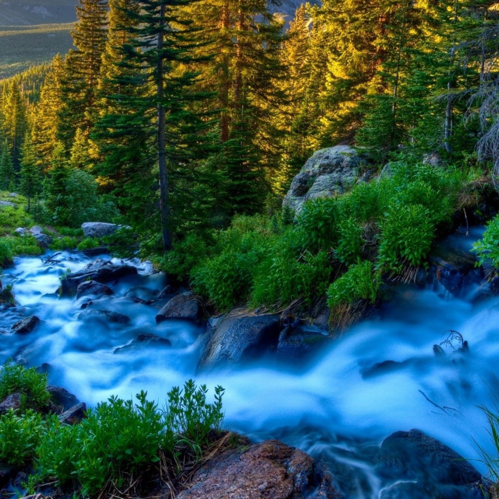 Голубой ручей среди горного леса