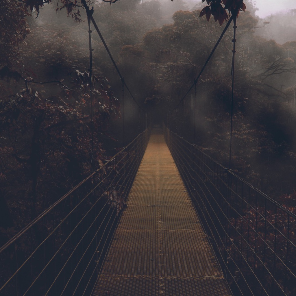 Мост в мрачный лес