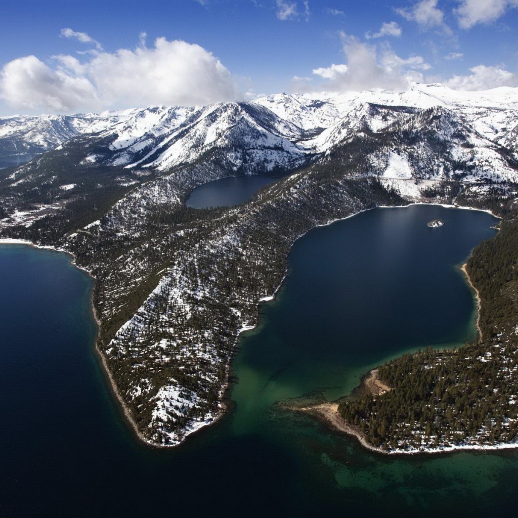 Густой заснеженный лес в горах, спускающихся к морю