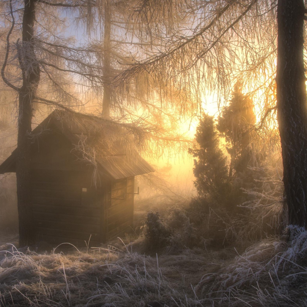 Охотничья избушка в морозном лесу