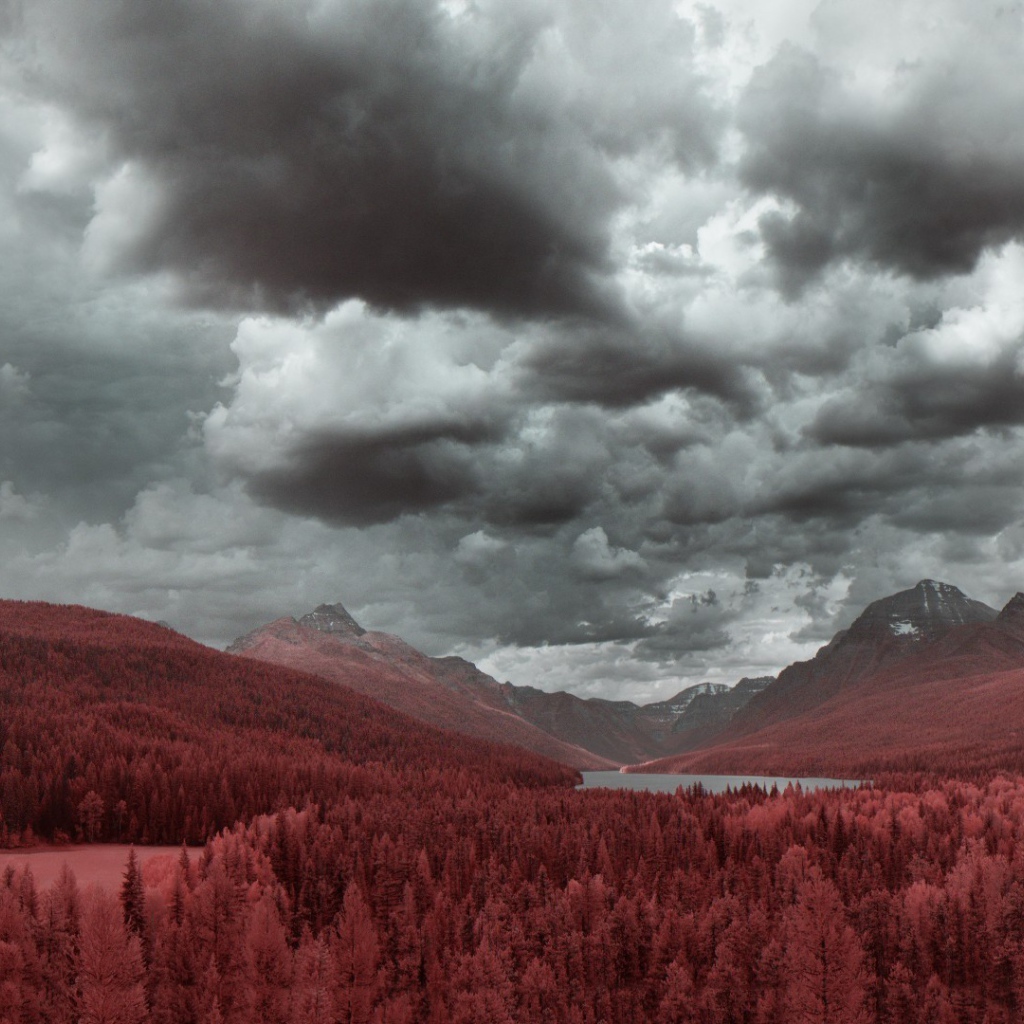 Рыжий лес в предгорье