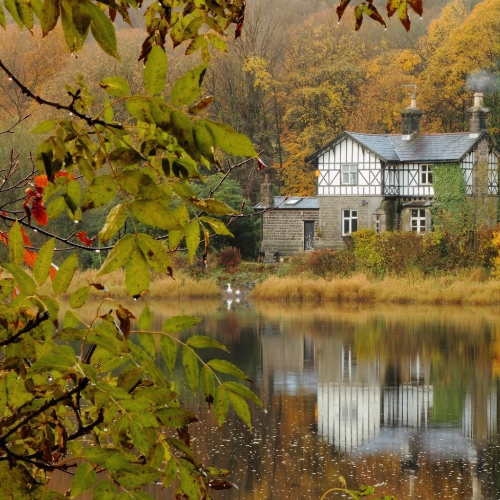 Каменный жилой дом среди леса