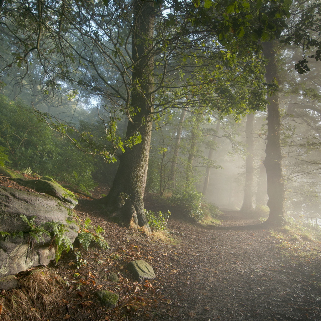 Дорога в горном парке