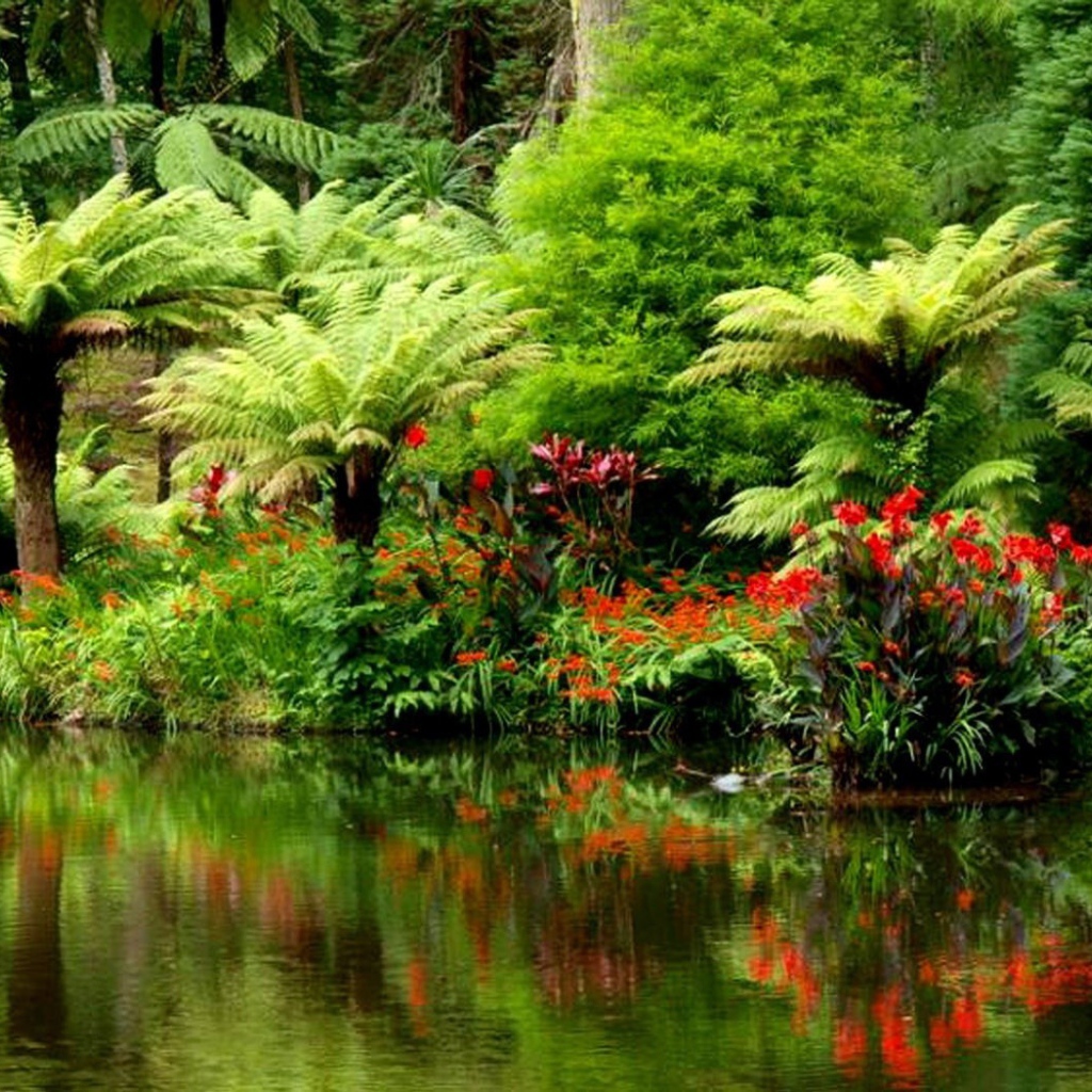 Тропический лес на берегу реки