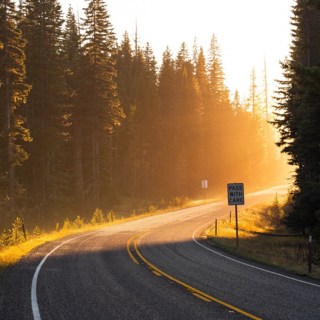 Поворот на лесной дороге