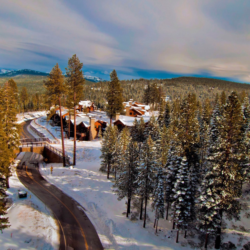 Поселок в зимнем лесу