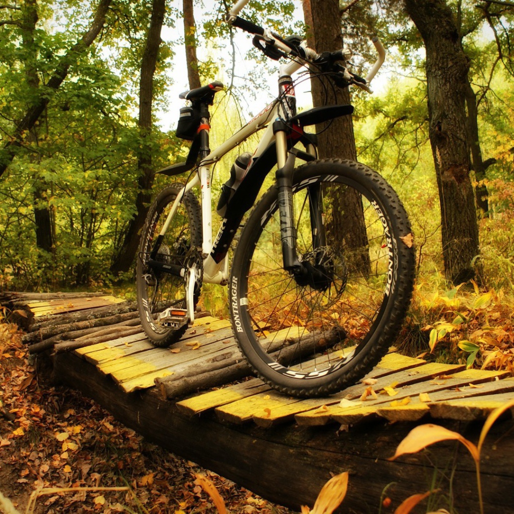 Прогулочный велосипед в лесу