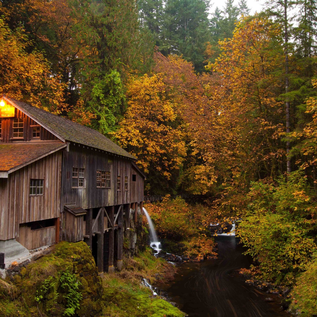 Деревянный дом над речушкой в лесу