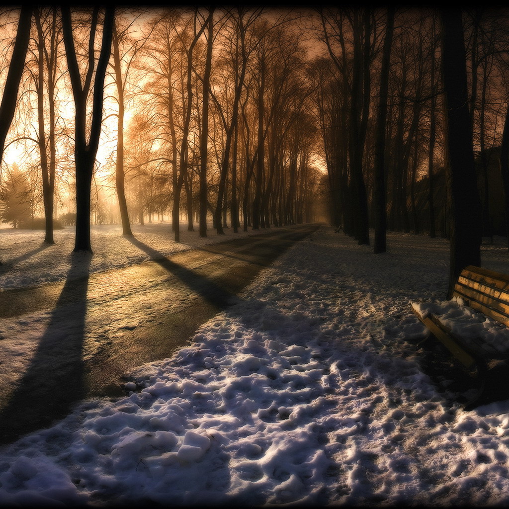 Вечер в заснеженном парке