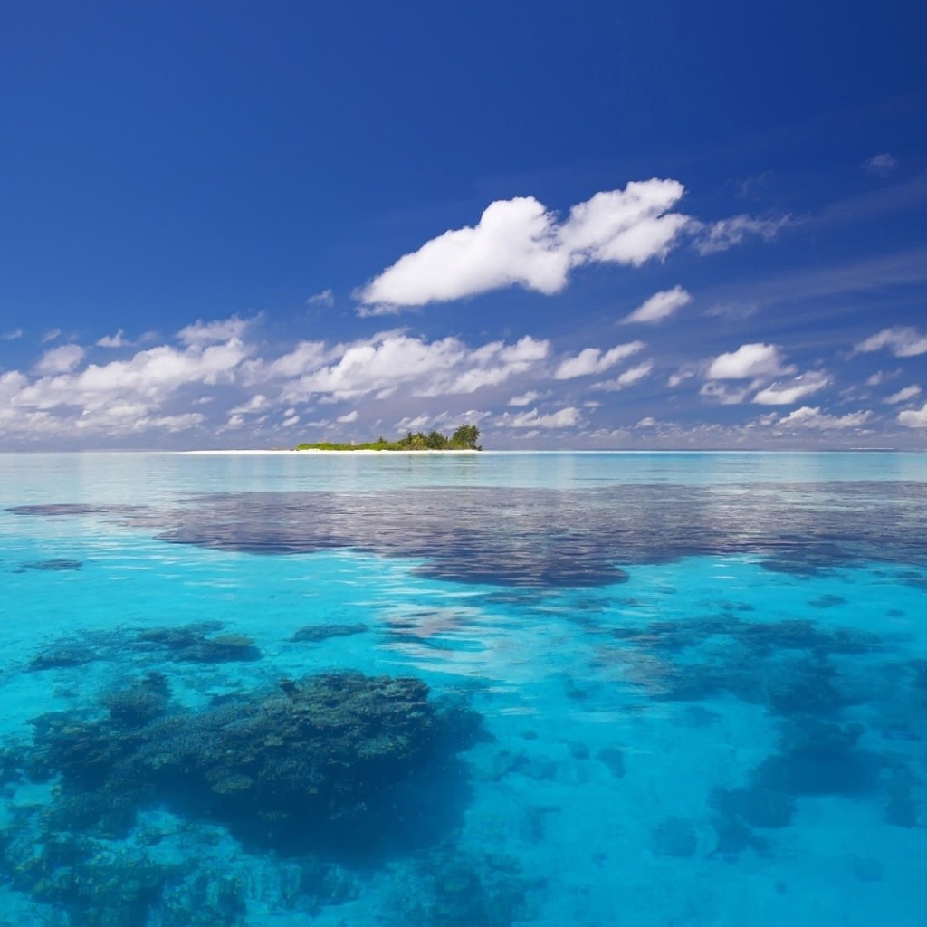 Райский остров среди мелководья