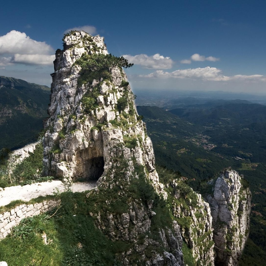 Меловые скалы поросли зеленью