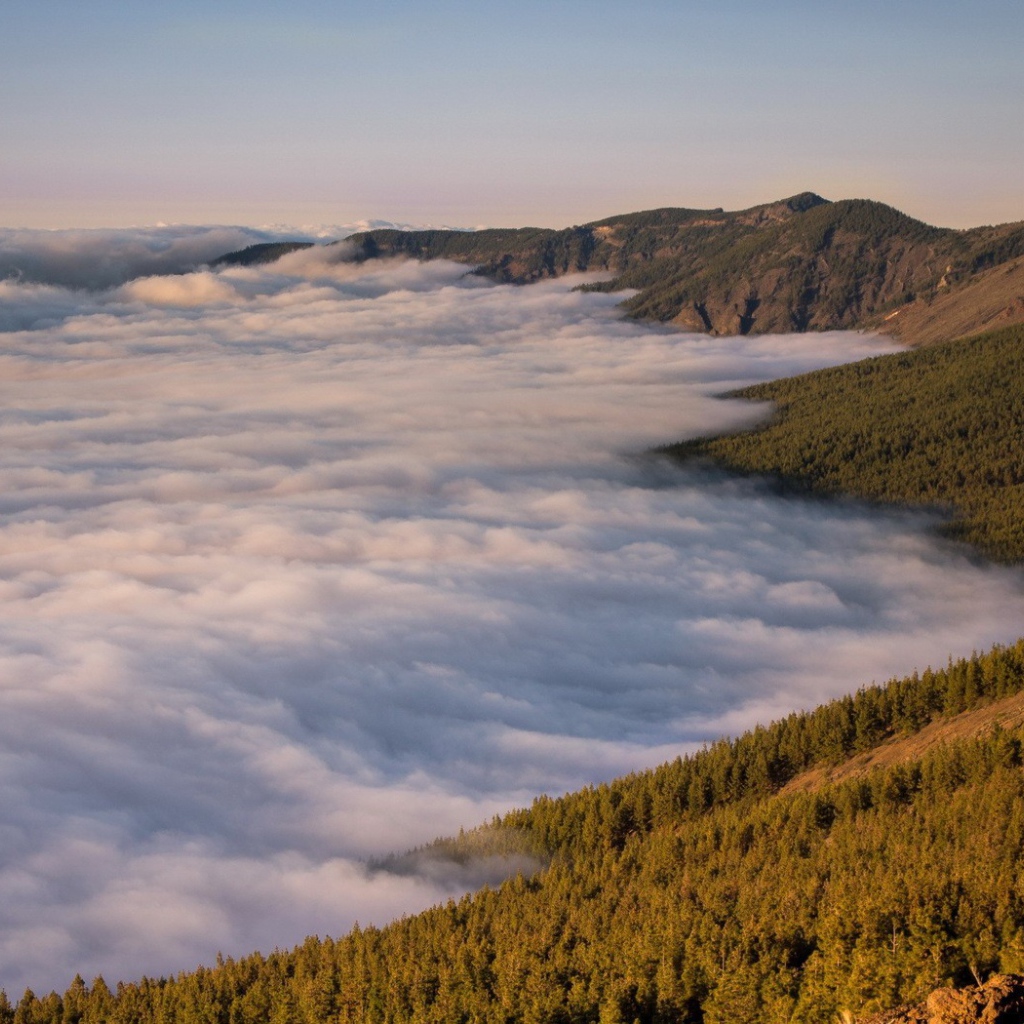 Туман в долине