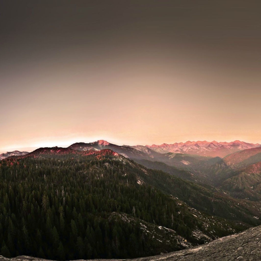 Поросшее хвойным лесом плоскогорье