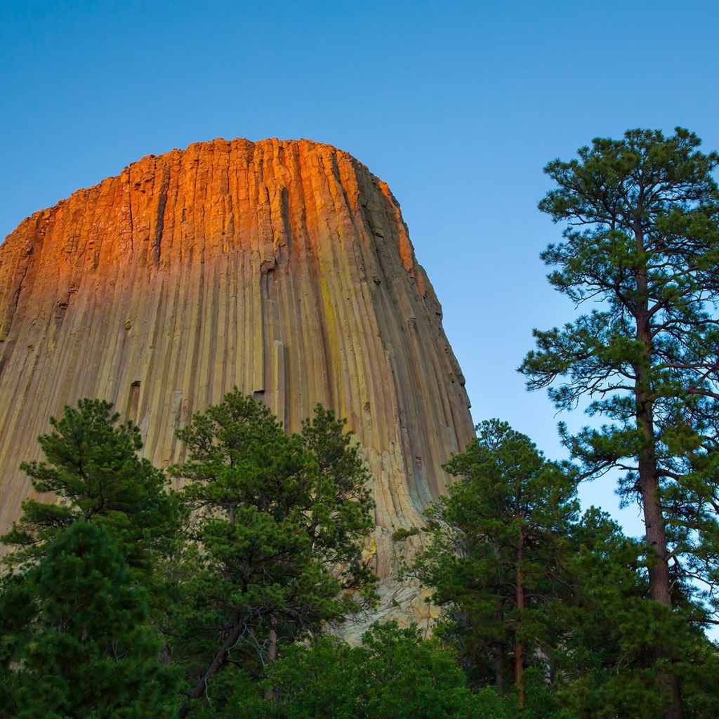 Скала с вертикальными бороздами