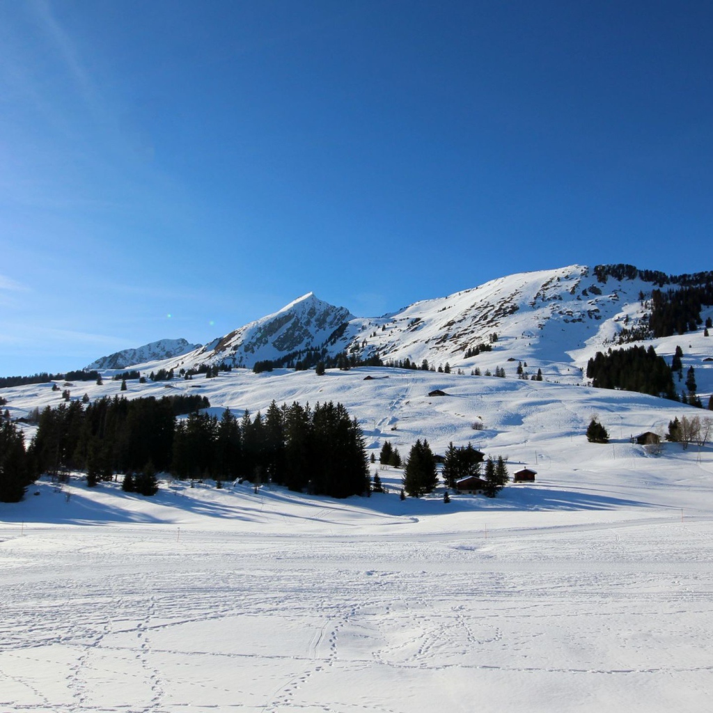 Ski trail in the mountains
