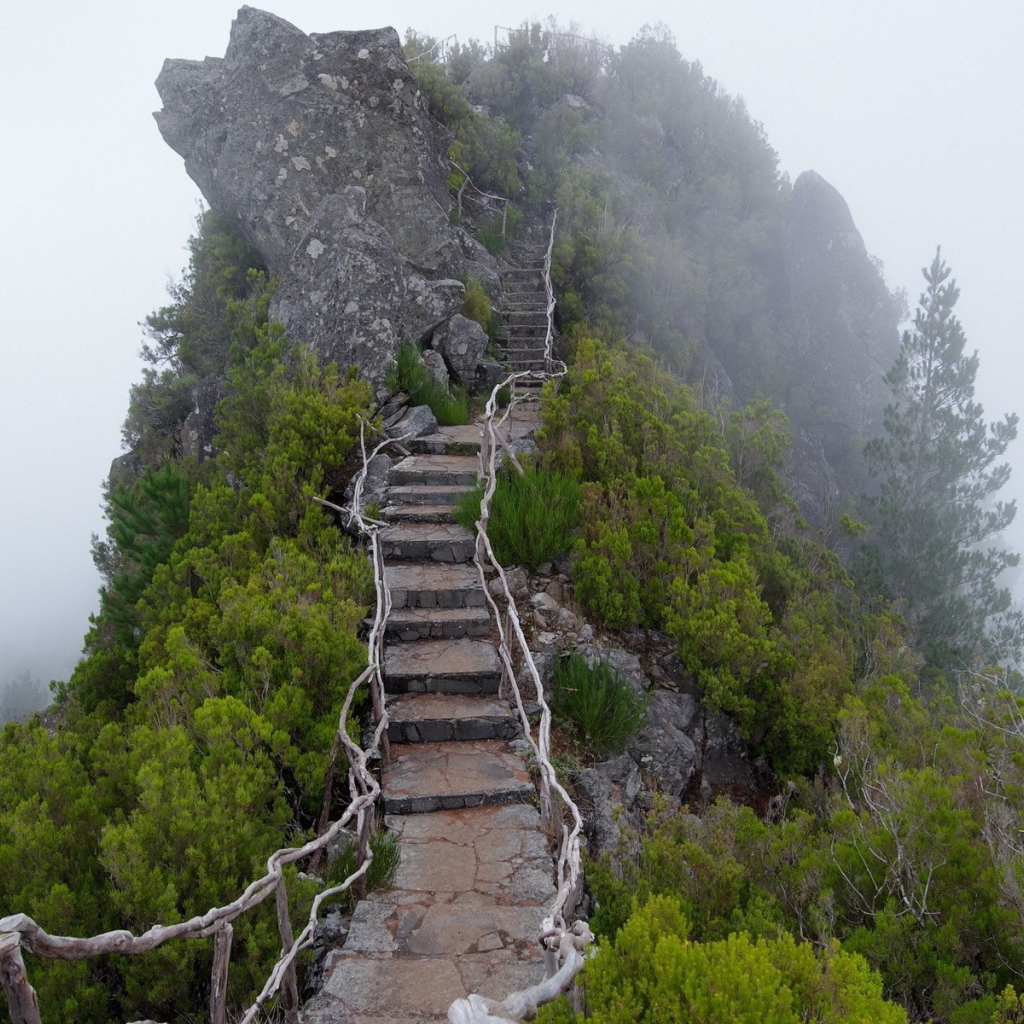 Каменные ступени на вершину скалы
