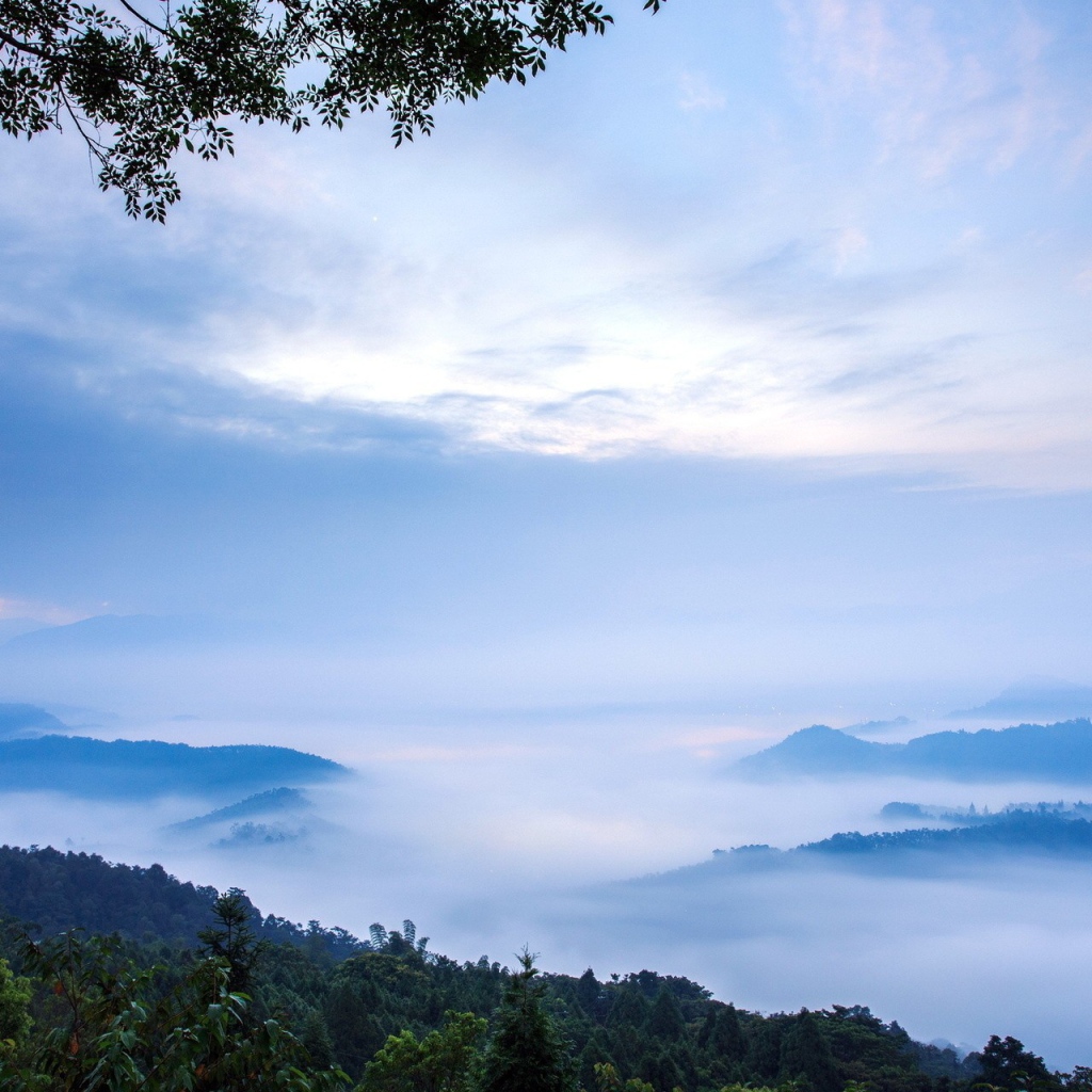 Густой туман в горах