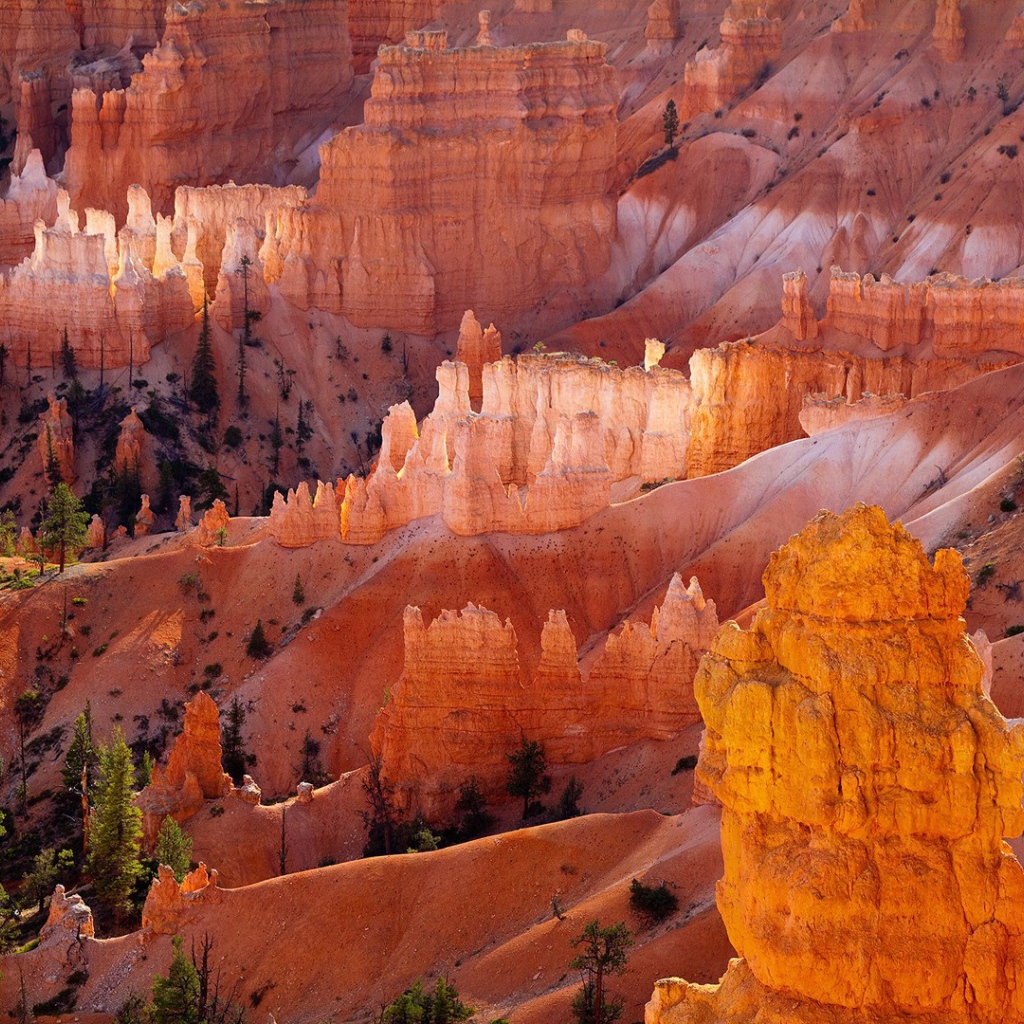 Желтый скалистый каньон