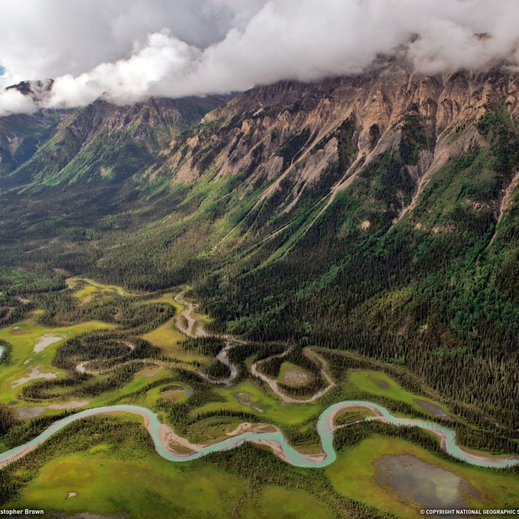 Зеленая долина с рекой 