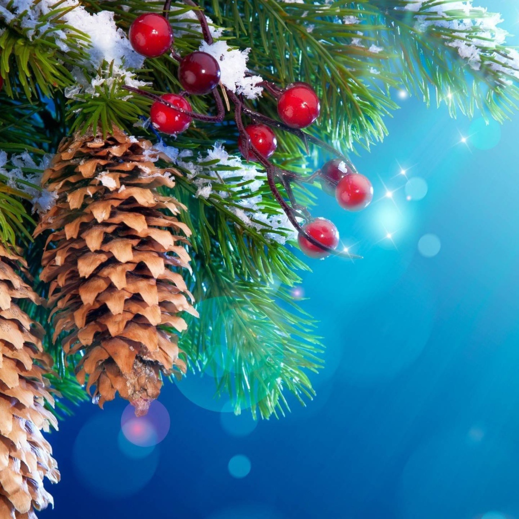 Шишки и ягоды на хвойном дереве