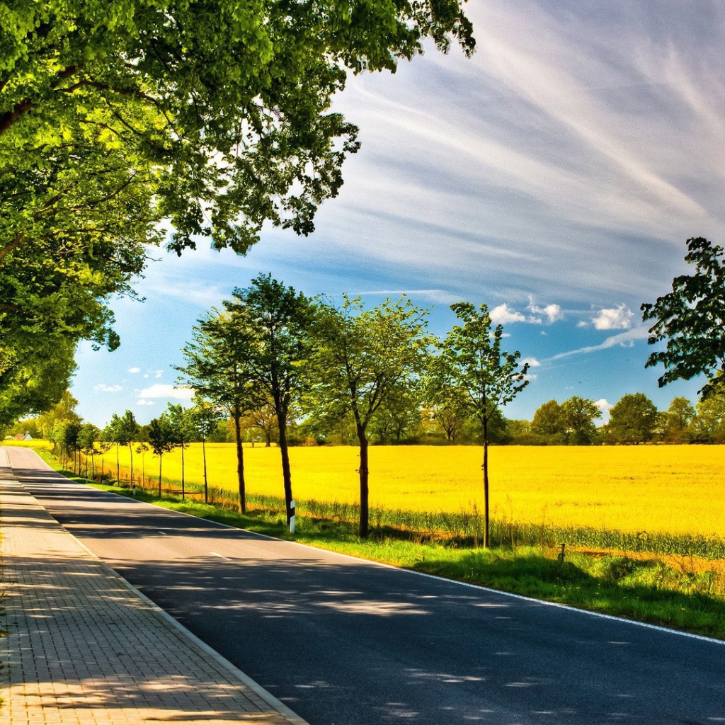 Аккуратная дорога по краю желтого поля