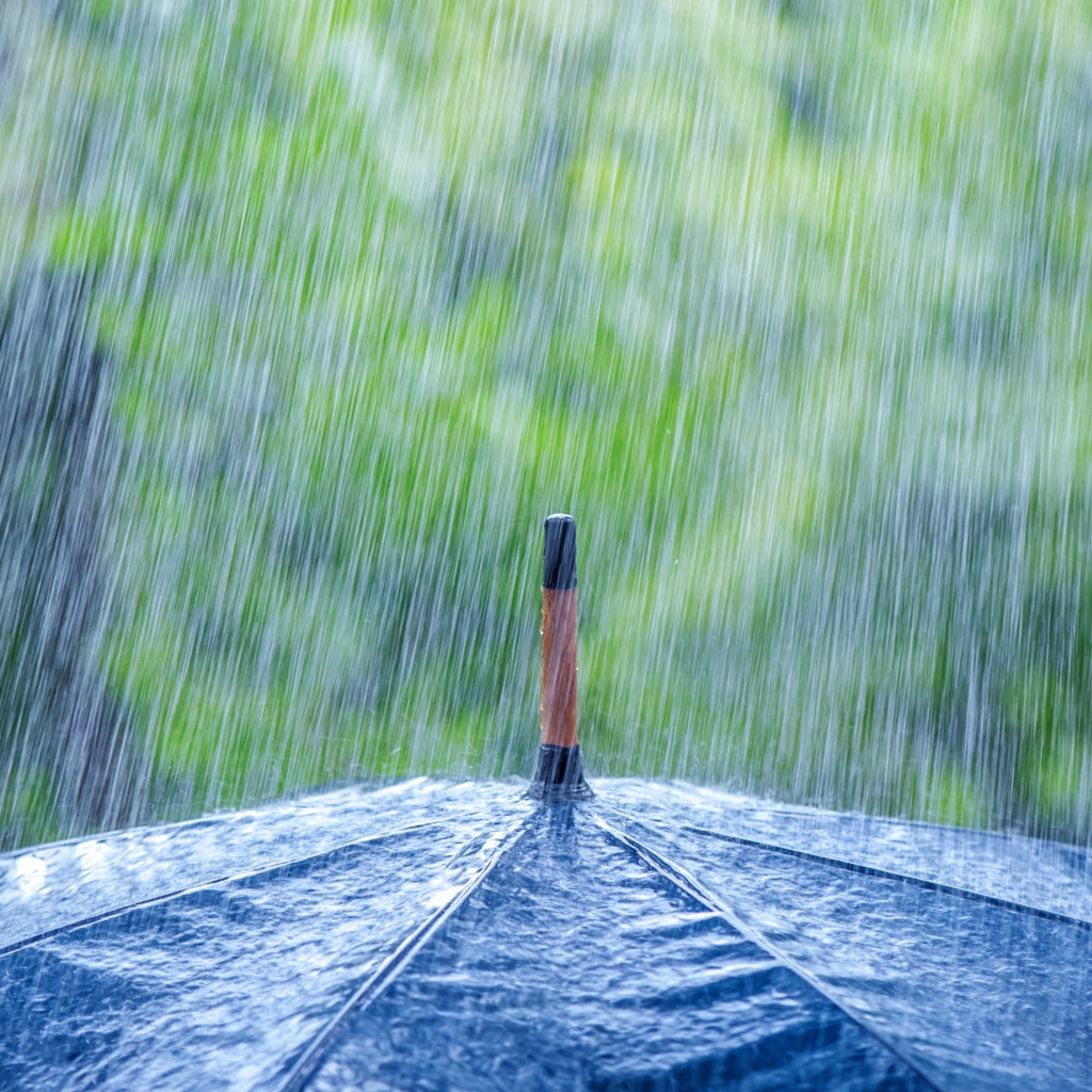 Дождь льется на черный зонт