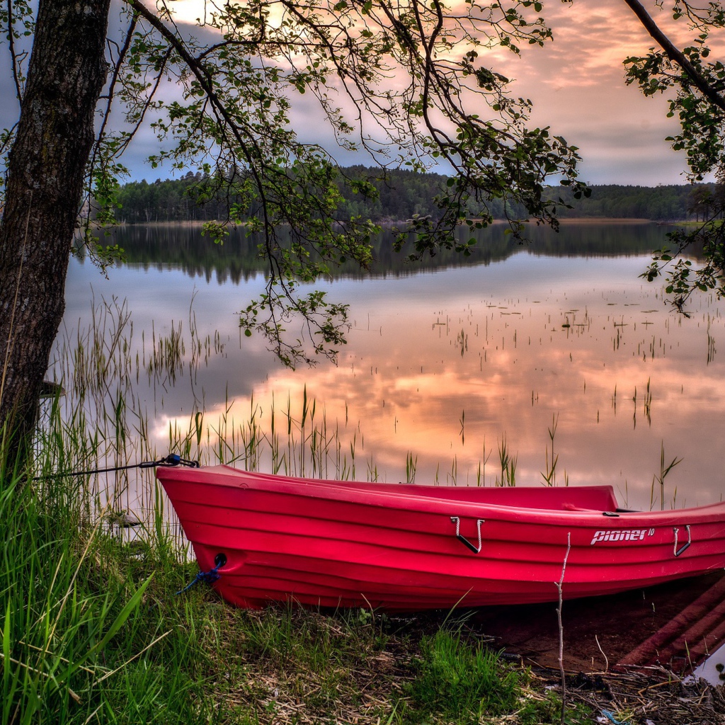Красная лодка на берегу водоема