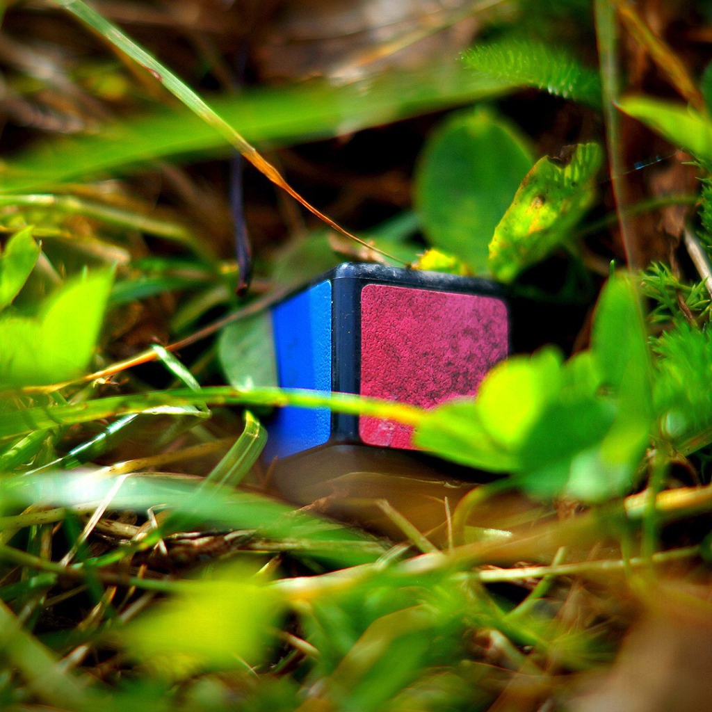 Элемент кубика Рубика лежит в траве
