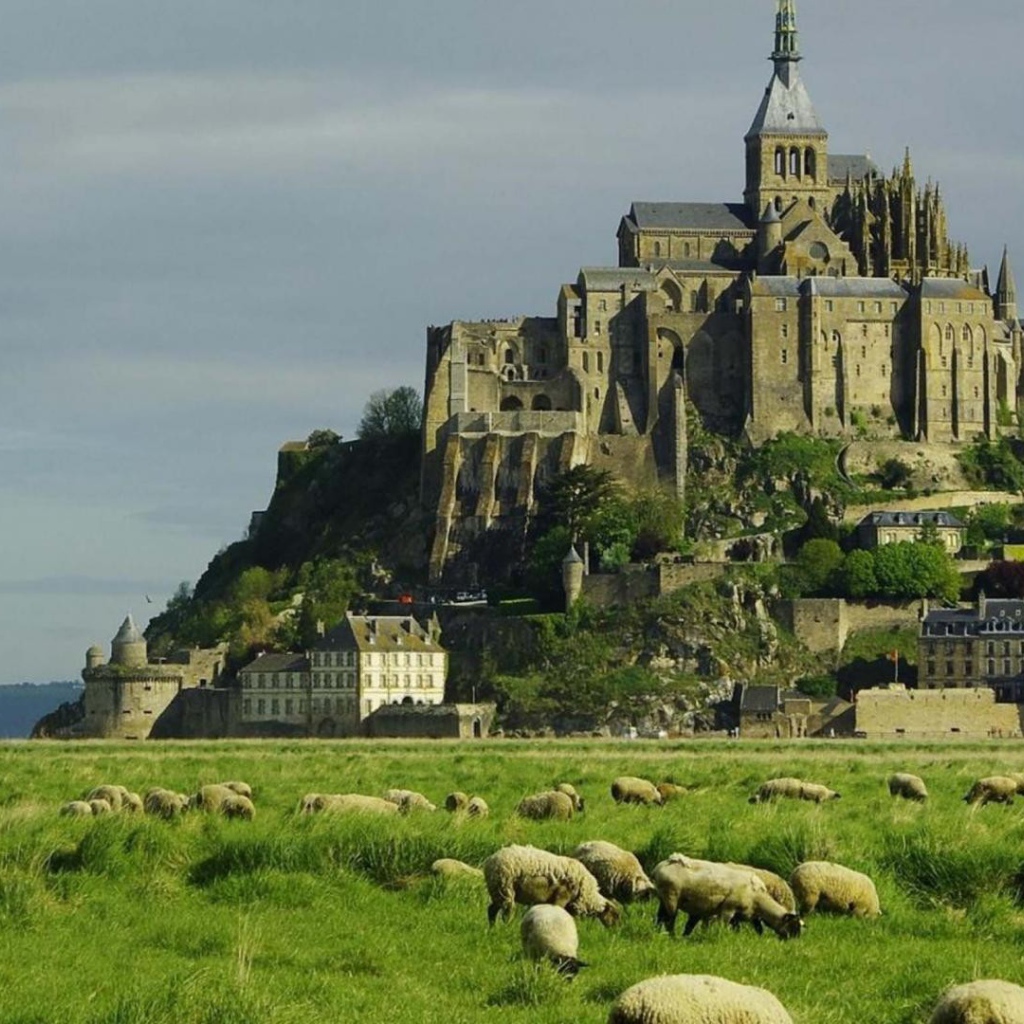 Овцы пасутся на фоне неприступного замка
