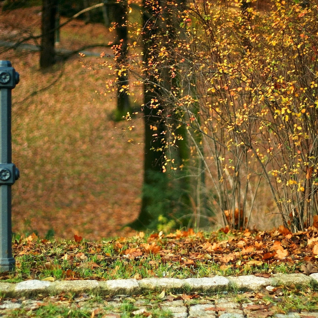 Конец забора