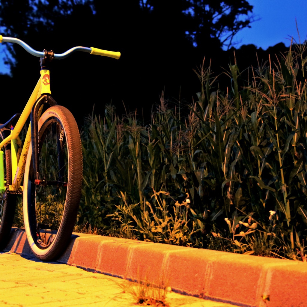 Желтый велосипед у обочины