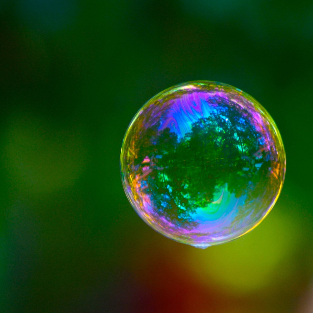 Природа в капле