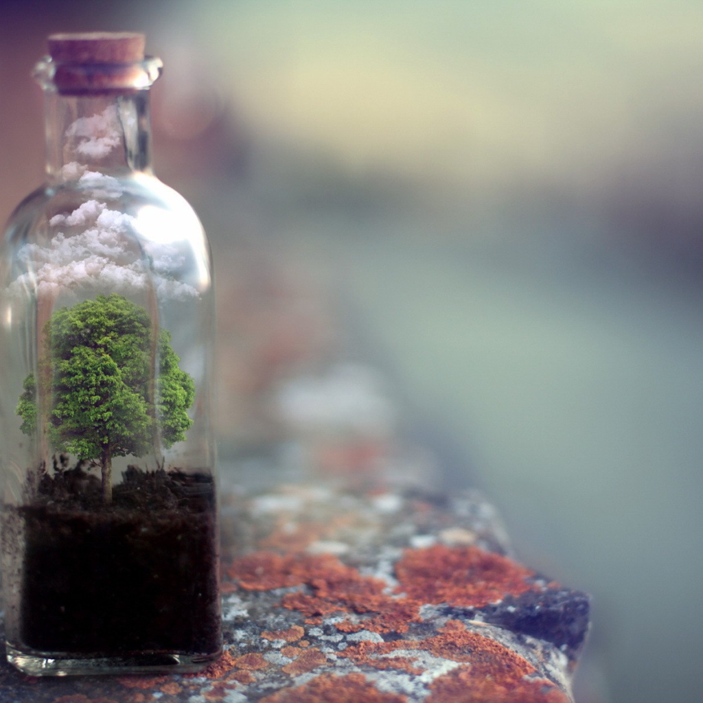 Дерево растет в стеклянной бутылке