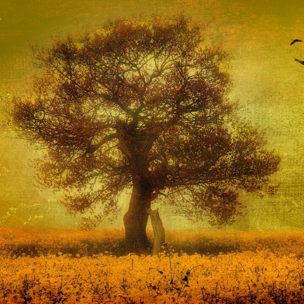 Птицы над одиноким деревом