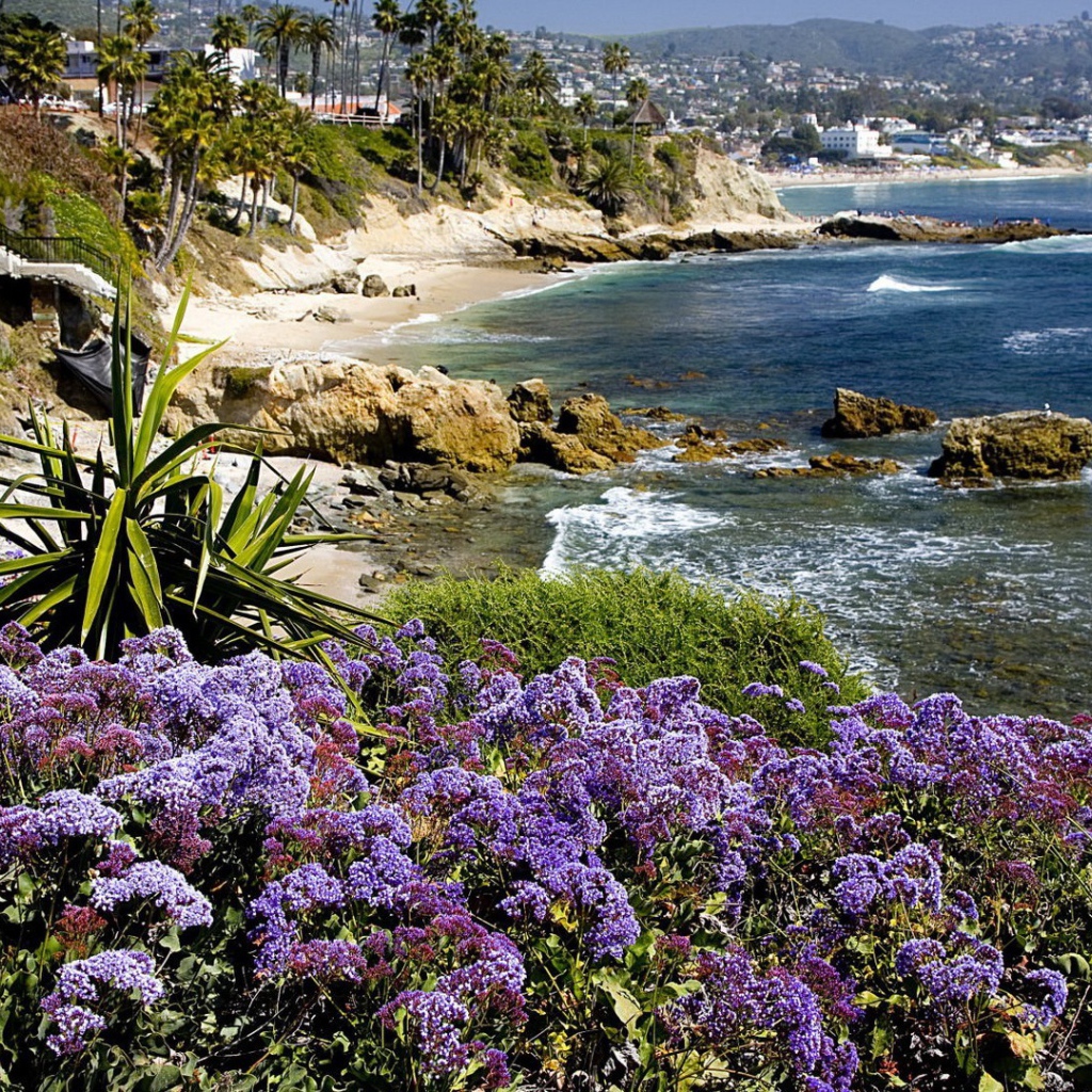 Экзотические растения на берегу моря