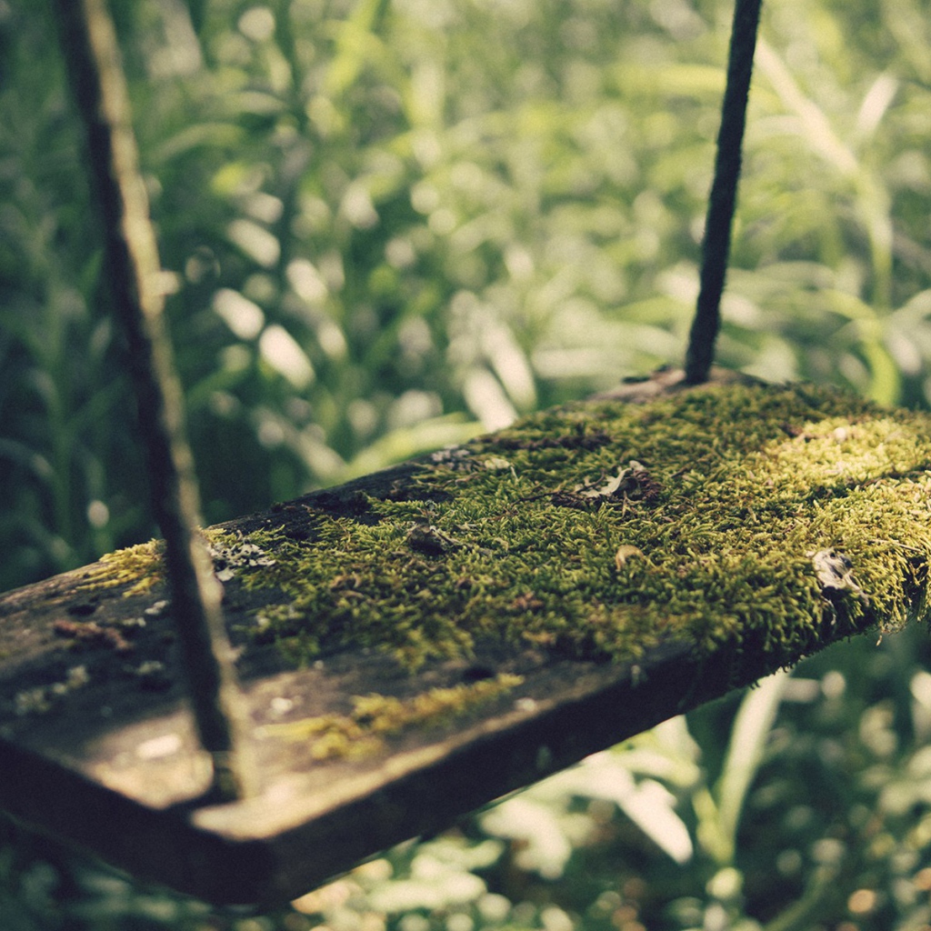 Мох на детских качелях