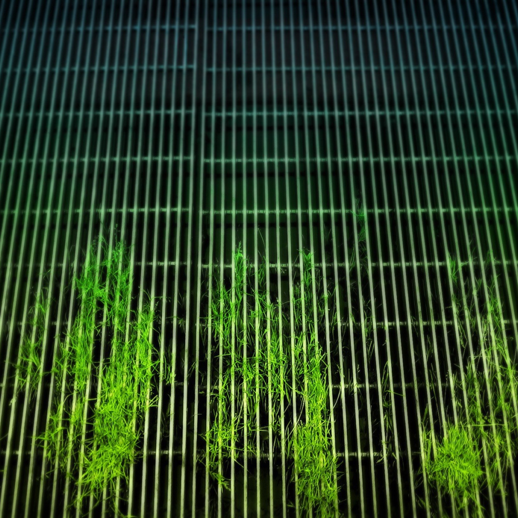 Растения пробиваются сквозь решетку