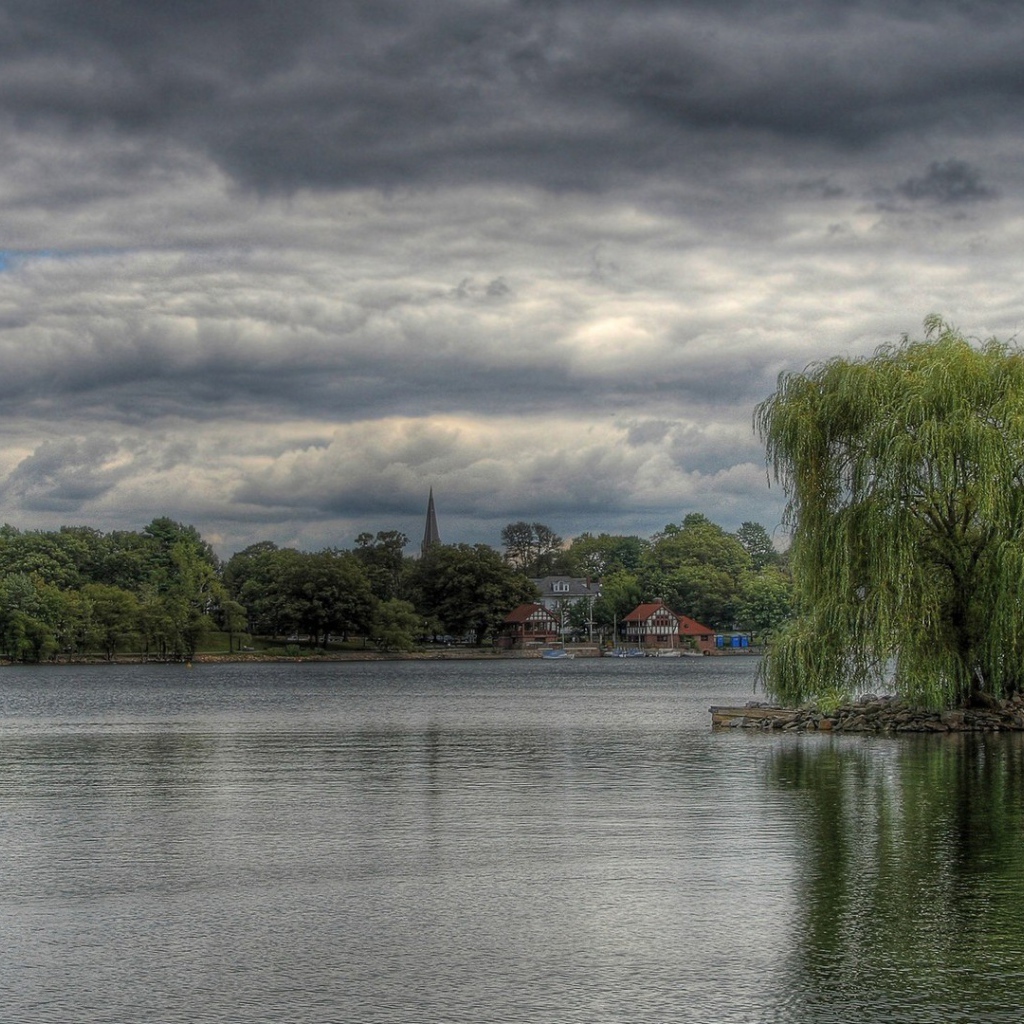 Верба на островке среди озера