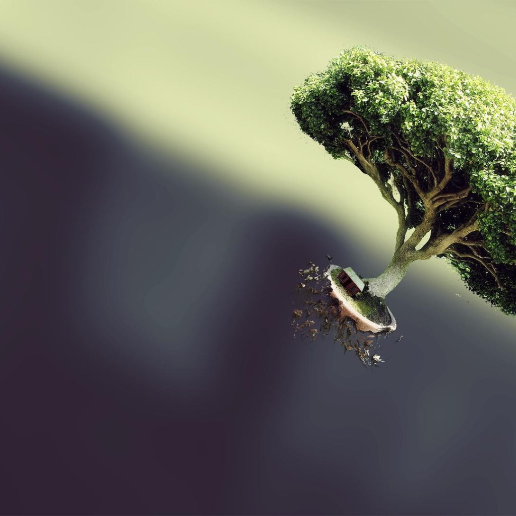 Дерево вырвалось на свободу