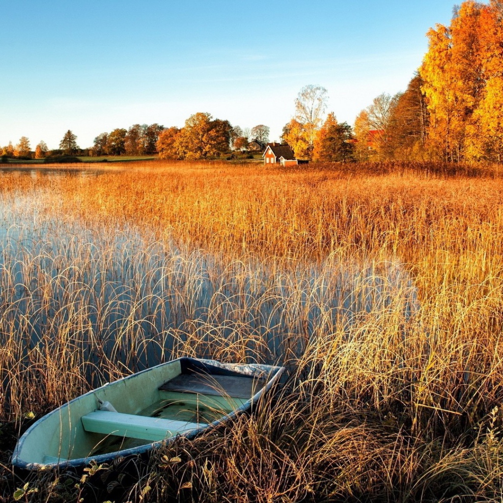 Лодка у берега заболоченного озера