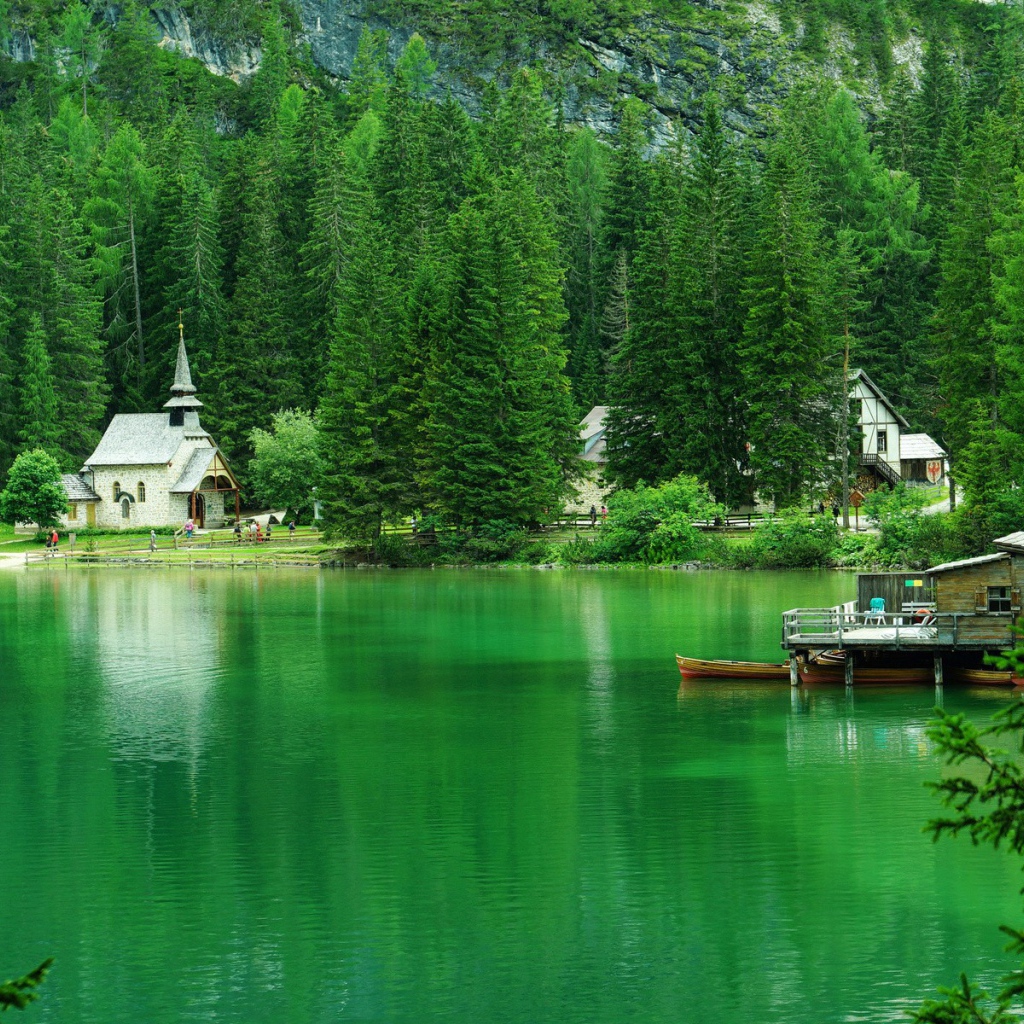 Хвойные деревья вокруг зеленого озера